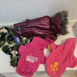 Dog 4 Piece Set Assorted  Hoodies